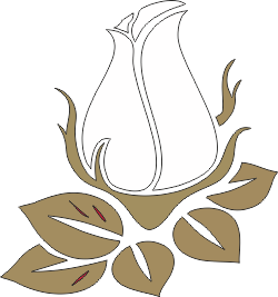 DĀVANU KARTE ( papīra formātā)